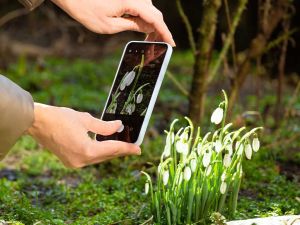 Per scattare foto artistiche, puoi farti ispirare dalla natura